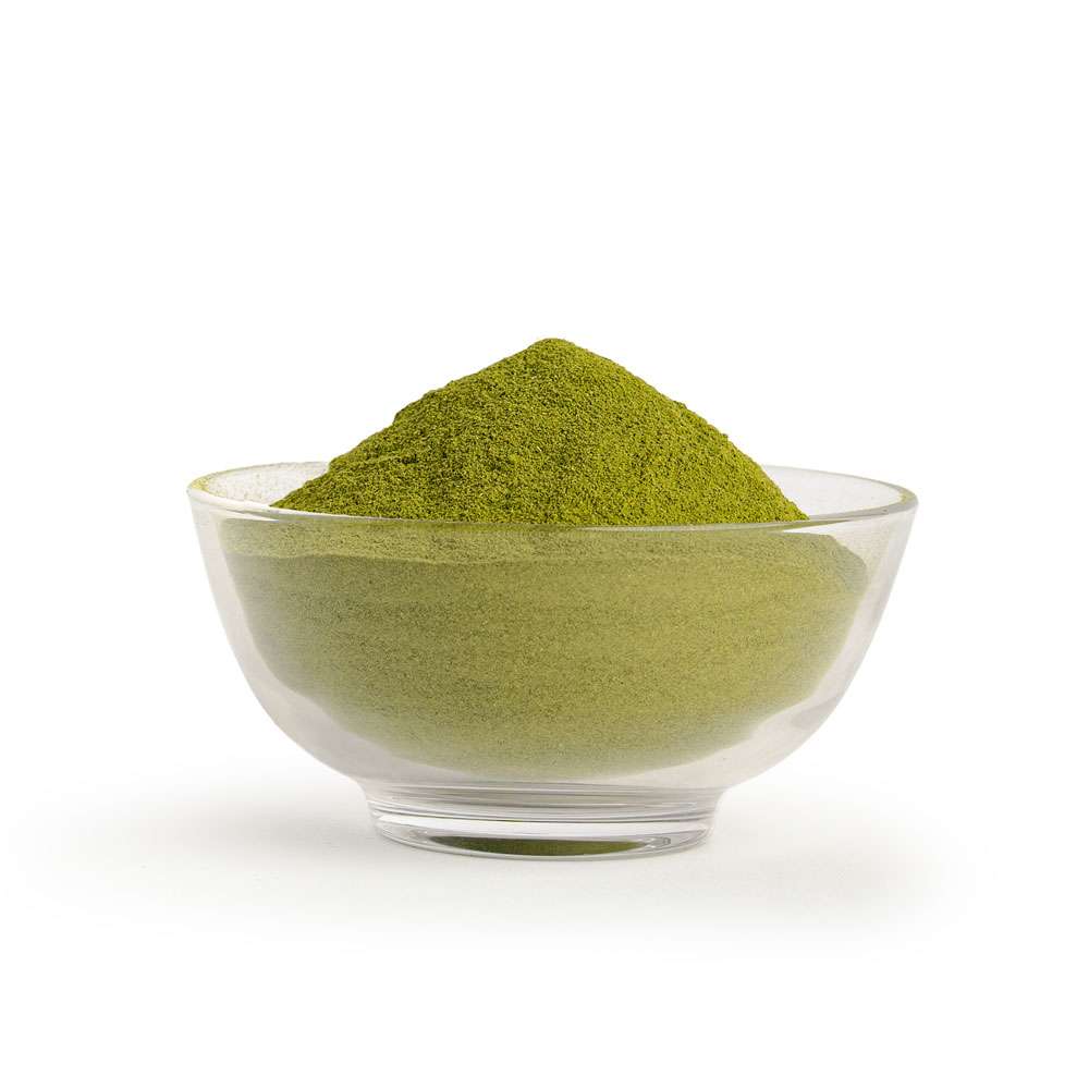 Moringa Powder 500gm 2