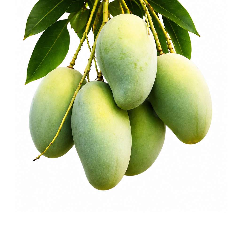 Amrapali Mango-20 kg